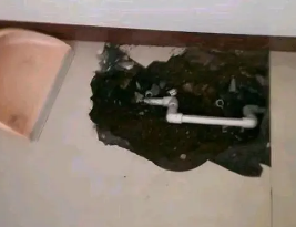德格卫生间测漏水多少钱